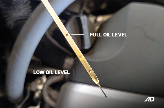 label / illustration on How to check the oil level
