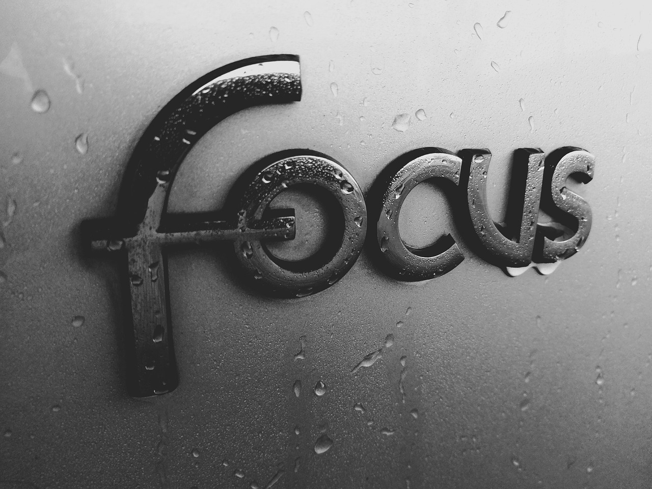 ford focus logo on the back of a car