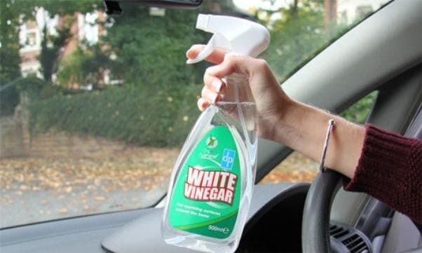 spray made up of vinegar and water